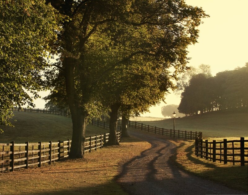 Gravel Path in Countryside
