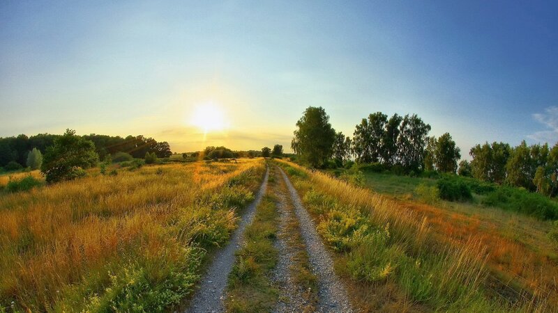 Gravel Path in Field — Blue, Serene