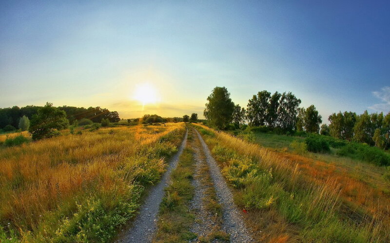 Gravel Path in Field — Blue