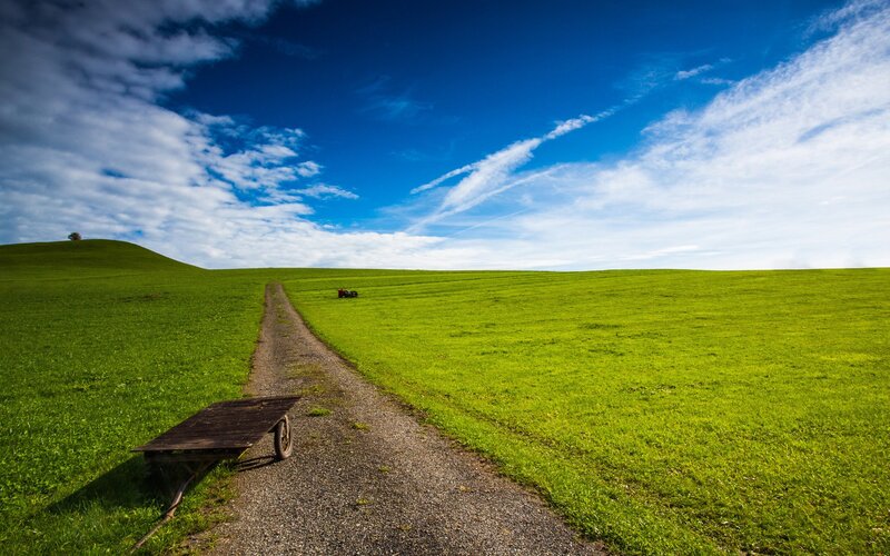 Gravel Path in Field — Green, Serene, Afternoon, Photograph