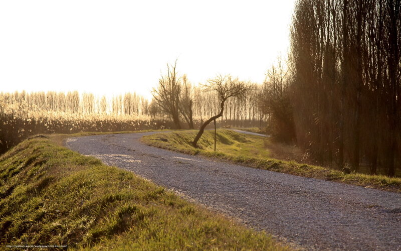 Gravel Path in Field — Green, Serene, Sunset, Photograph