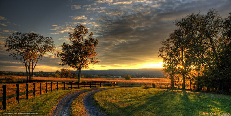Gravel Path in Field — Green, Serene, Sunset