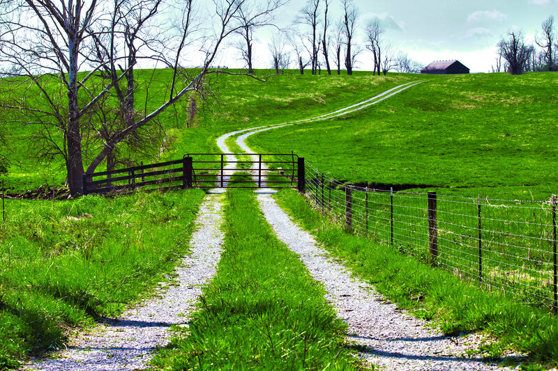 Gravel Path in Field — Green