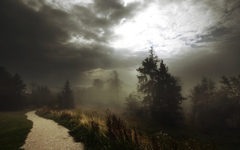 Gravel Path in Fog