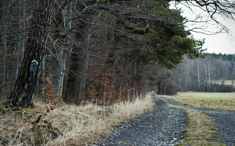 Gravel Path in Forest — Brown, Quiet