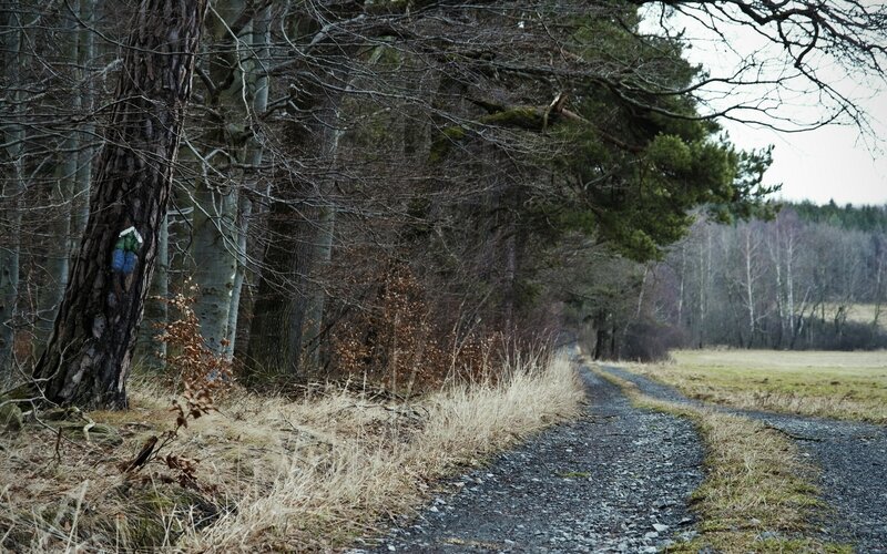 Gravel Path in Forest — Brown