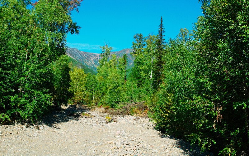 Gravel Path in Forest — Green, Serene, Afternoon, Photograph, Trees, Mountains
