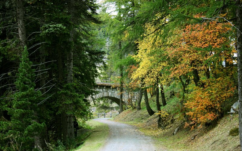 Gravel Path in Forest — Green, Serene, Autumn, Photograph, Bridge