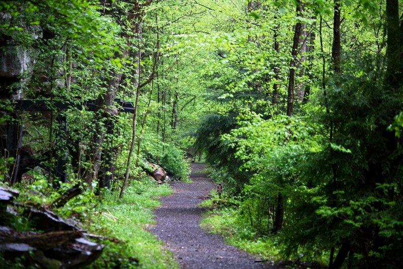 Gravel Path in Forest — Green, Serene, Spring