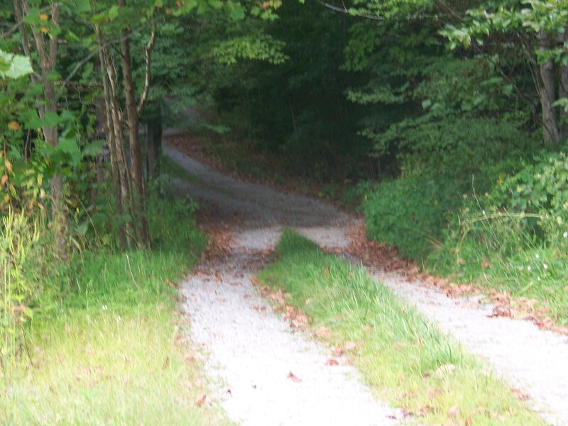 Gravel Path in Forest — Green, Serene, Summer, Photograph