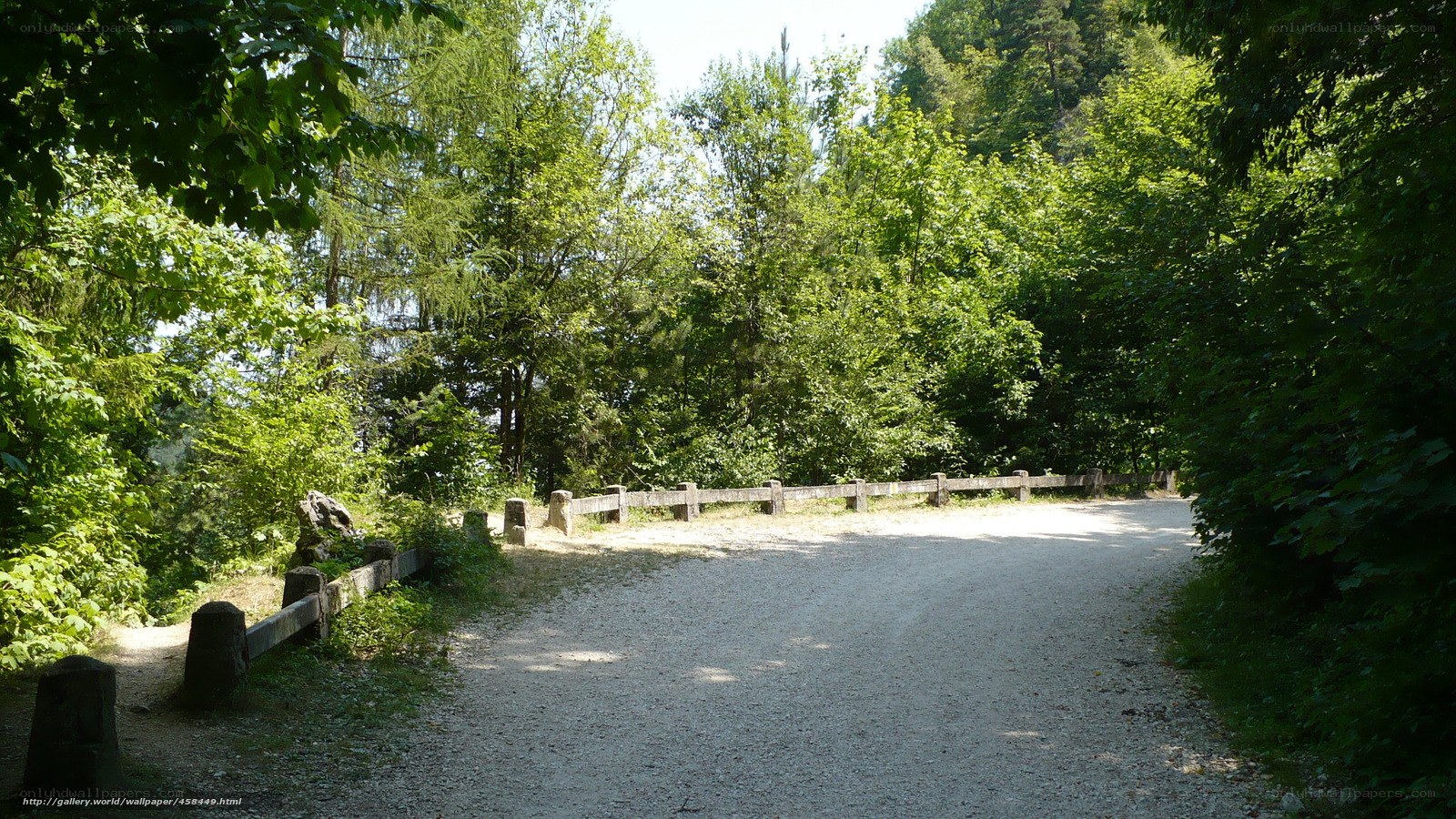 gravel path in forest