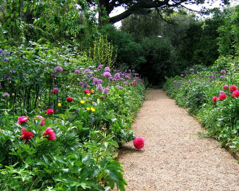 Gravel Path in Garden — Green, Serene, Afternoon, Photograph