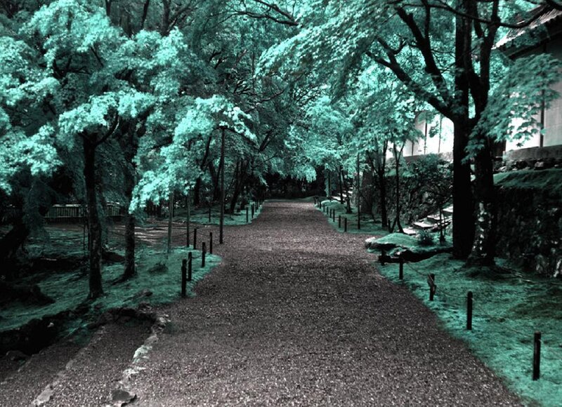 Gravel Path in Garden — Green, Serene, Photograph