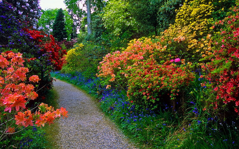 Gravel Path in Garden — Green, Serene, Spring