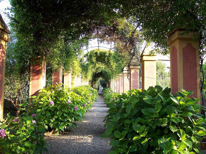 Gravel Path in Garden — Green, Serene