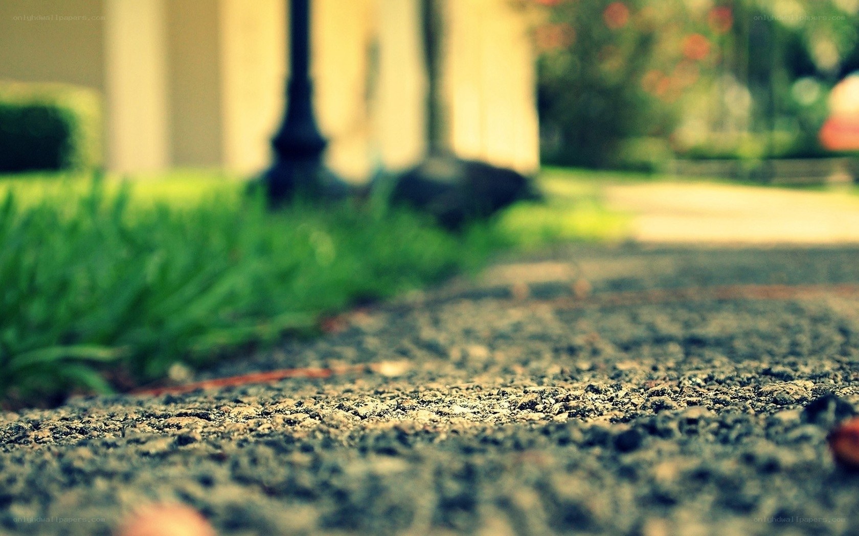 gravel path in garden