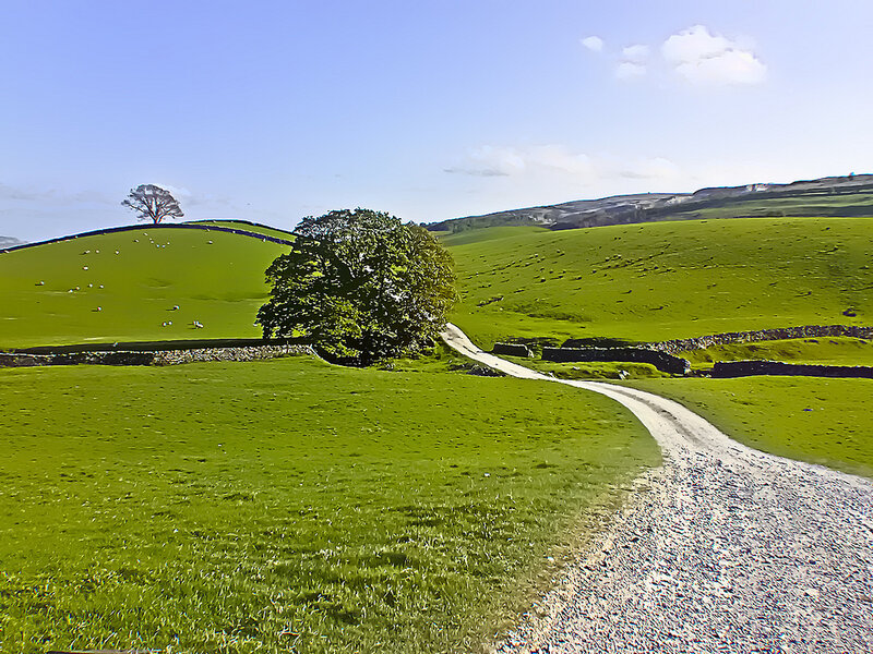 Gravel Path in Green Hills