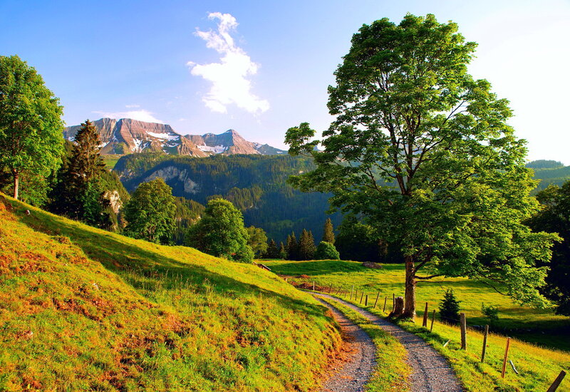 Gravel Path in Mountain Valley — Green, Serene