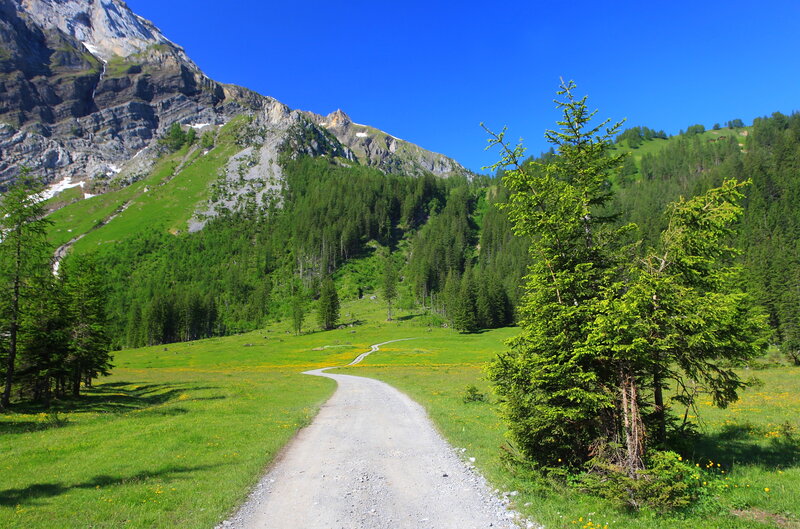 Gravel Path in Mountain Valley — Green