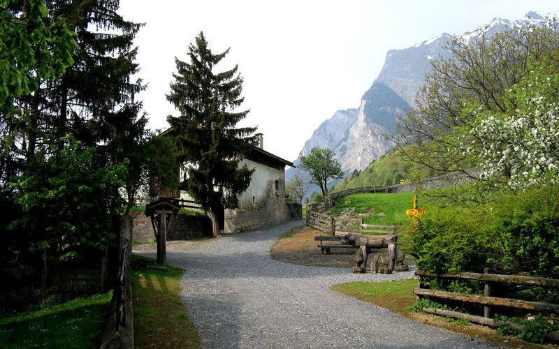 Gravel Path in Mountain Valley