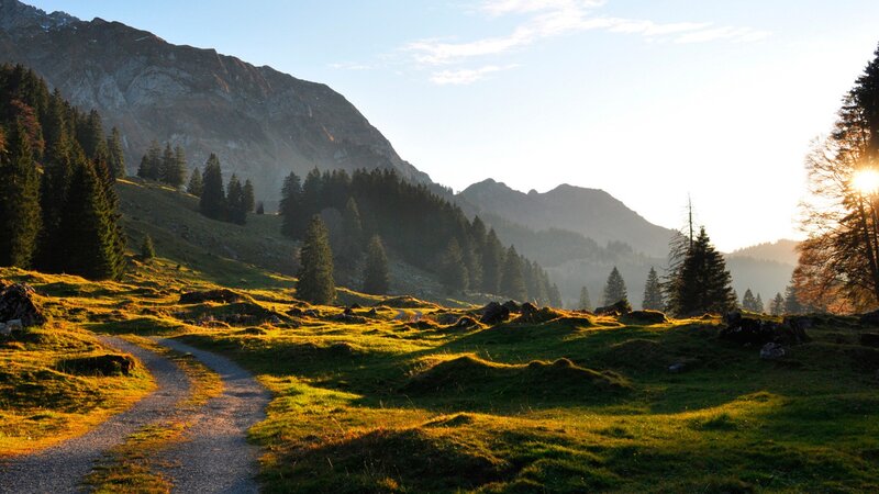 Gravel Path in Mountains — Green, Serene, Sunset, Photograph, Trees, Sunlight