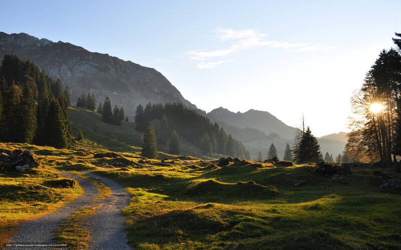 Gravel Path in Mountains — Green, Serene, Sunset