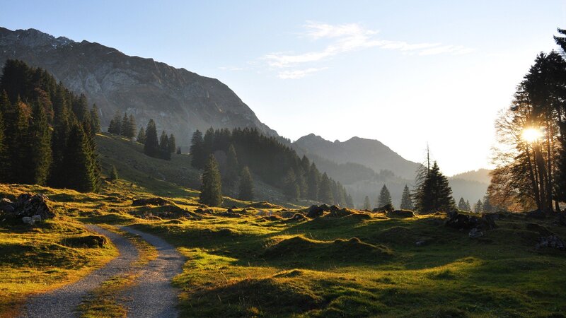 Gravel Path in Mountains — Green