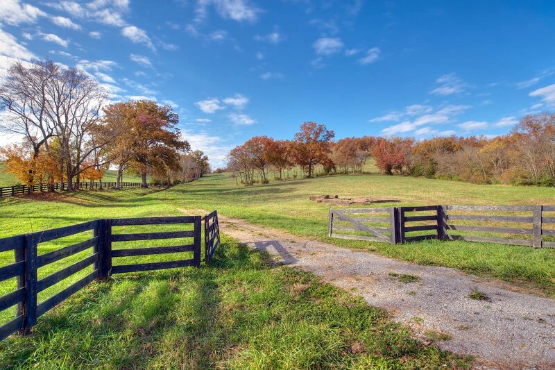 Gravel Path in Pasture