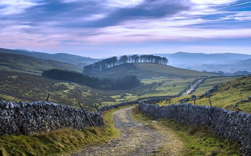 Gravel Path in Valley — Green, Serene