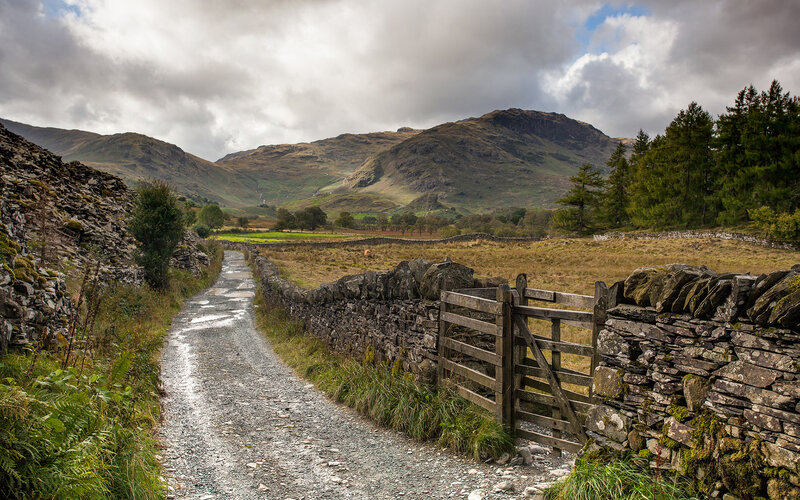 Gravel Path in Valley — Green