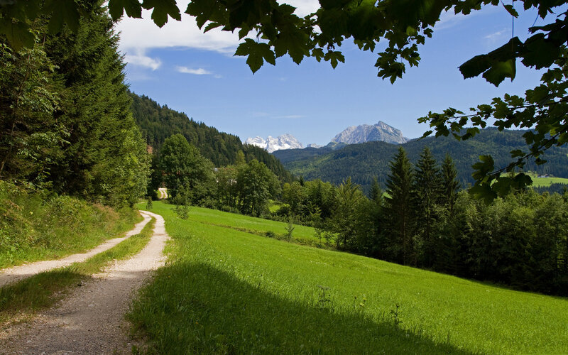Gravel Path in Valley