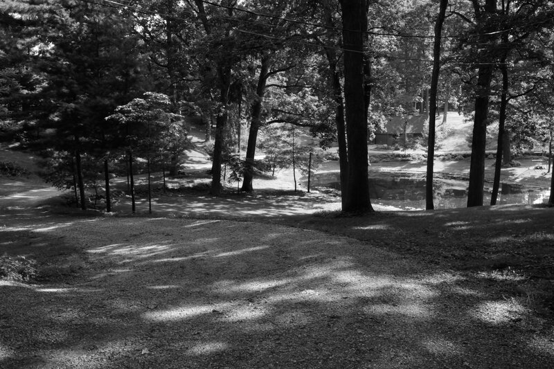Gravel Path in Wooded Area — Black
