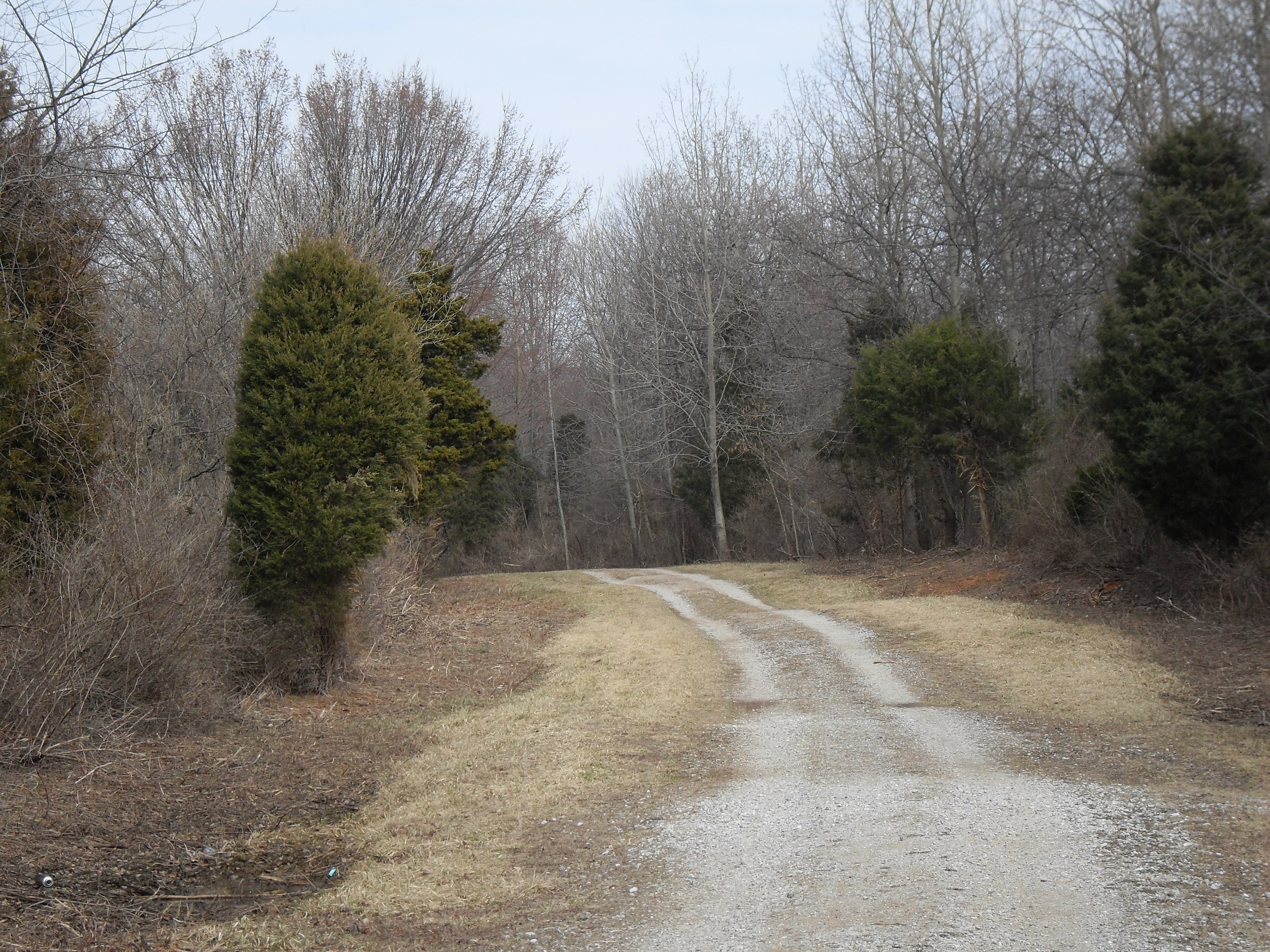 gravel path in wooded area