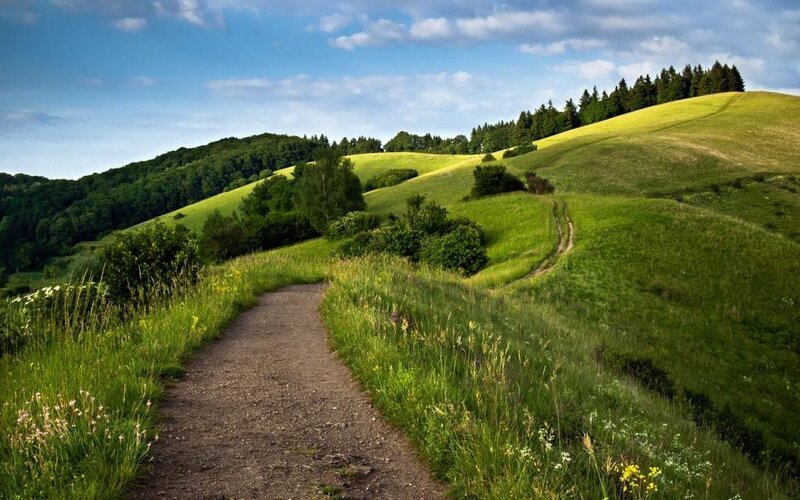 Gravel Path on Green Hills — Serene
