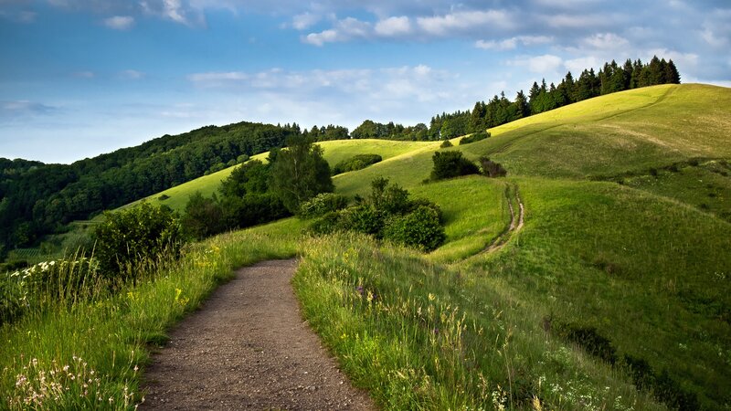 Gravel Path on Green Hills