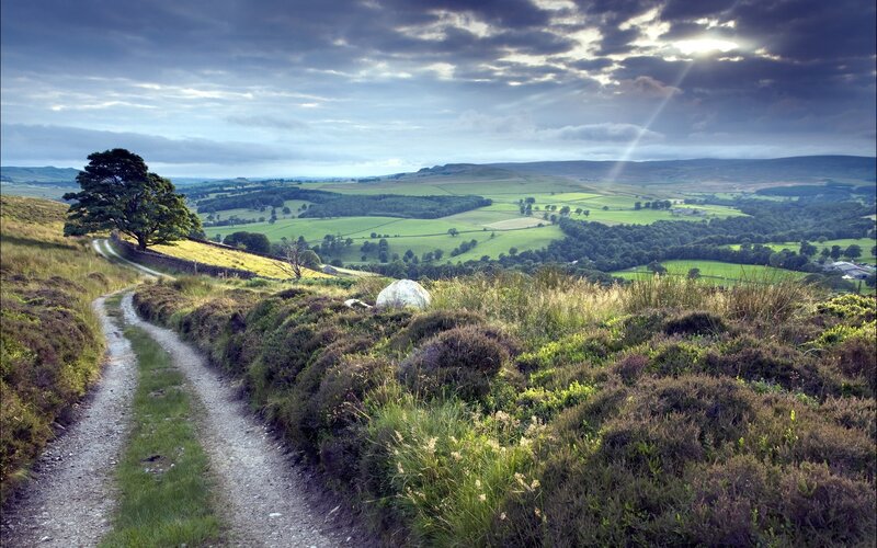 Gravel Path on Hillside — Green, Dramatic, Afternoon