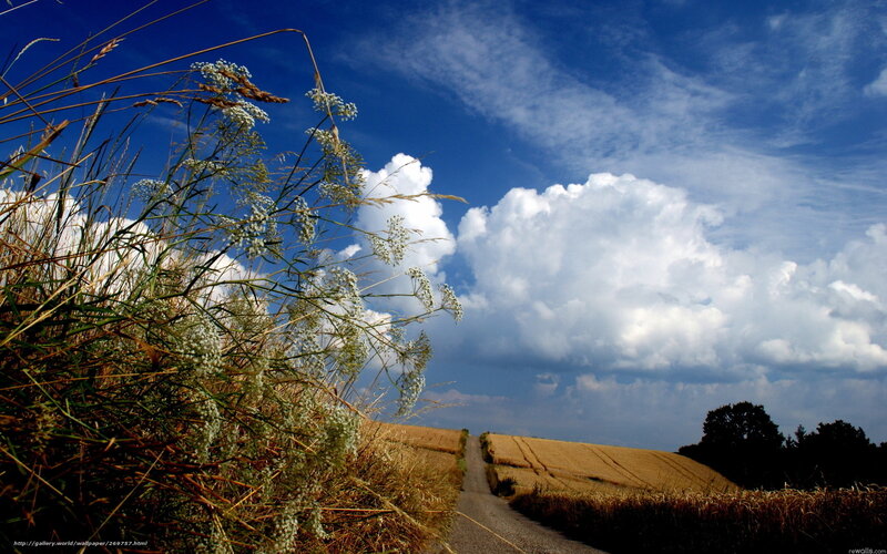 Gravel Path Through Fields