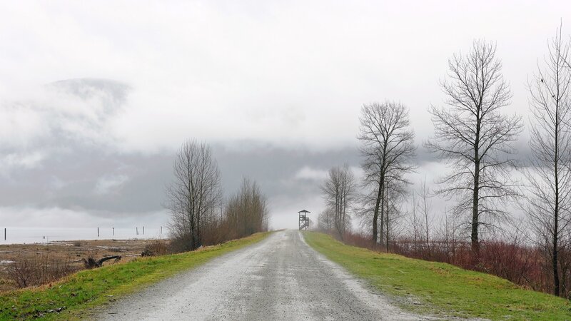 Gravel path through foggy landscape