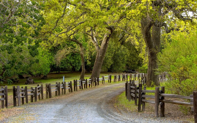 Gravel path through wooded park