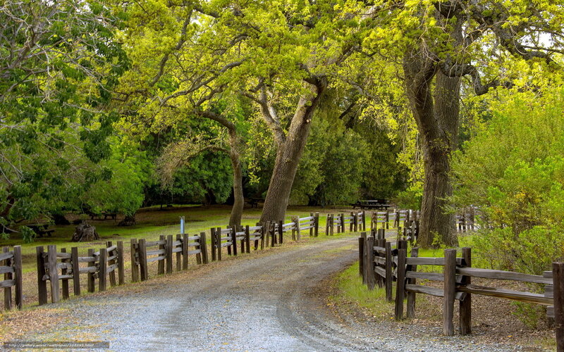 Gravel path through wooded park