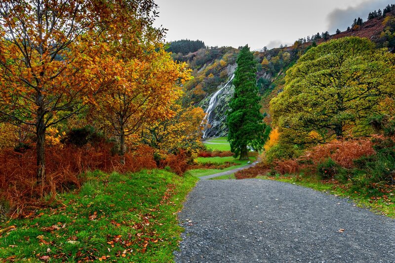 Gravel Path to Waterfall