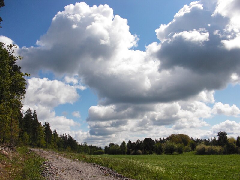 Gravel path under cloudy sky