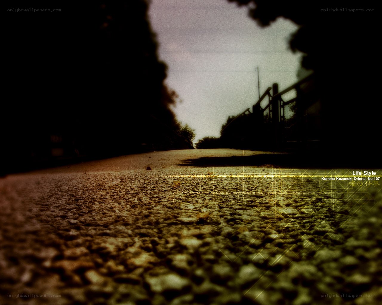gravel path under golden light
