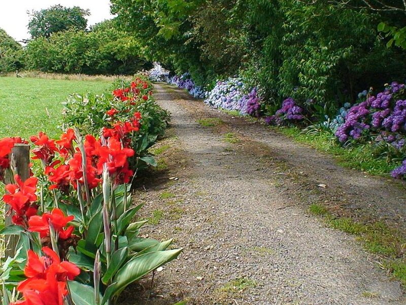 Gravel Path with Flowers