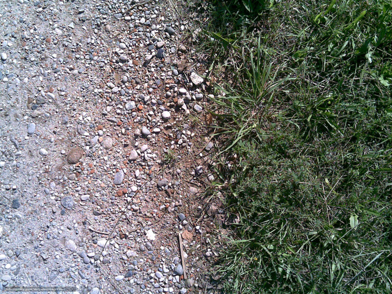Gravel path with grass edge