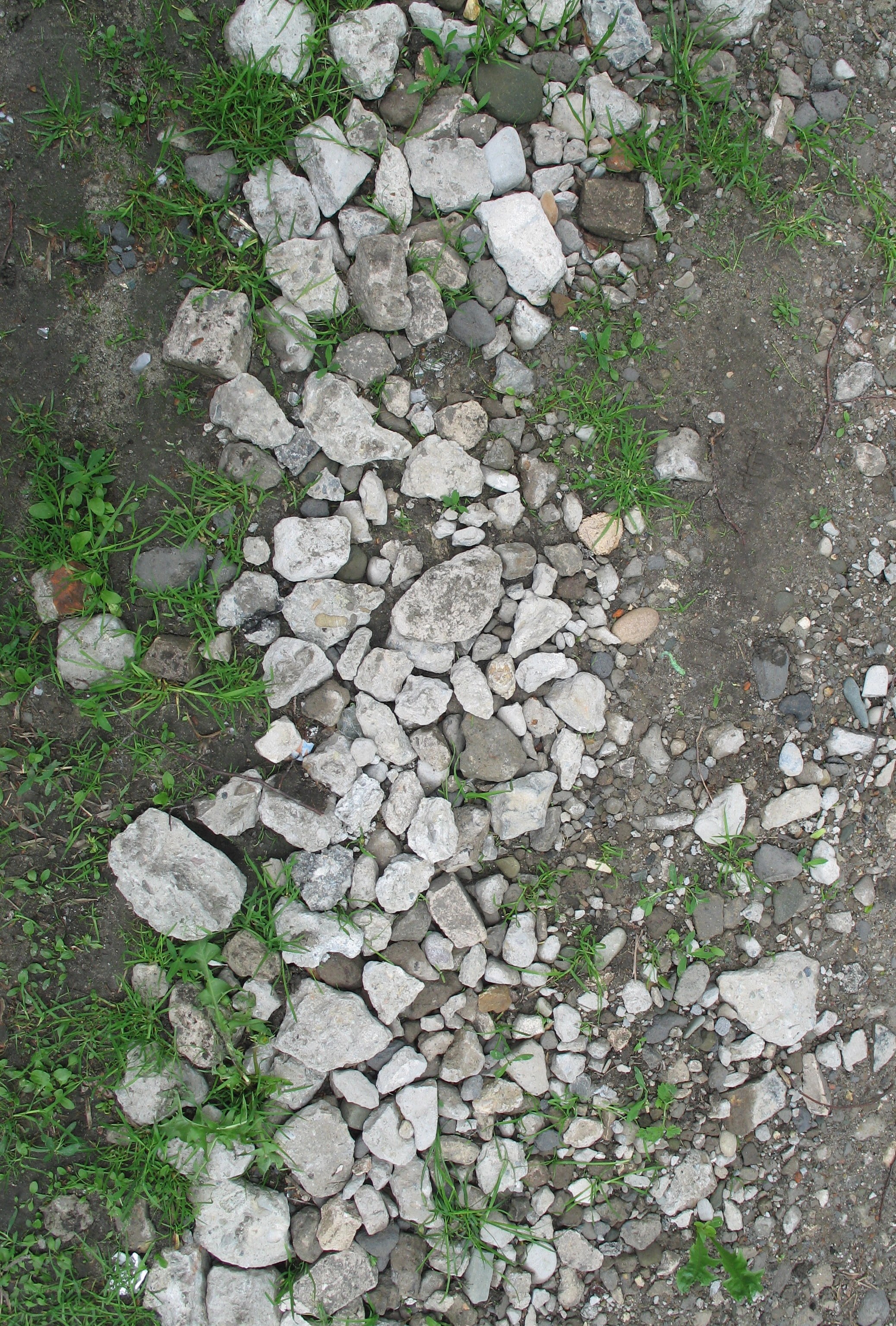 gravel path with grass