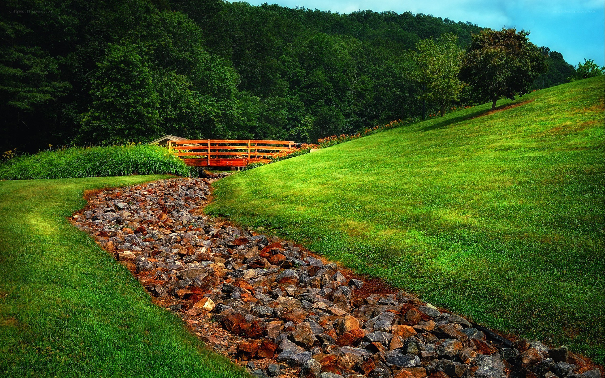 Gravel path with wooden bridge