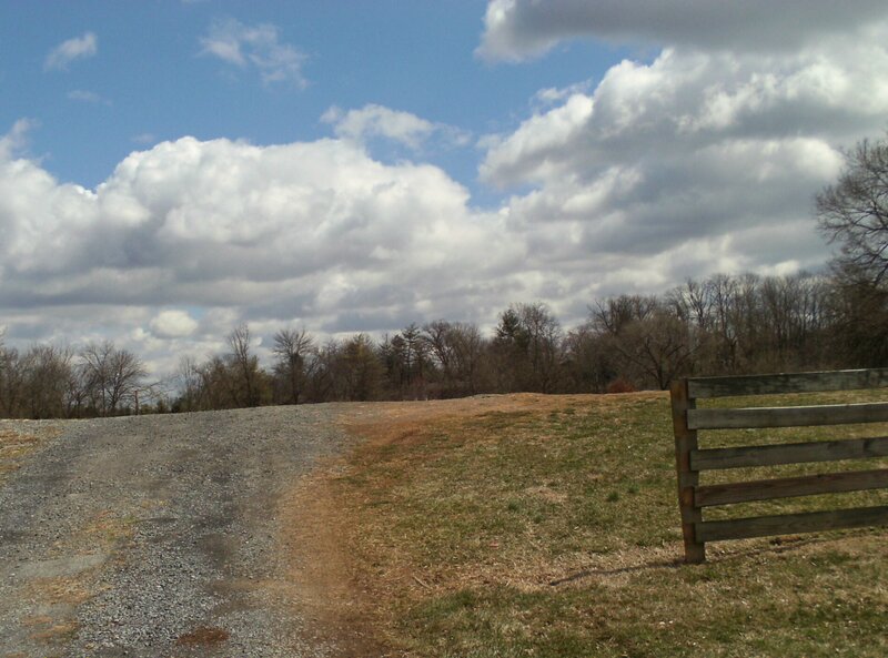 Gravel Road and Fence