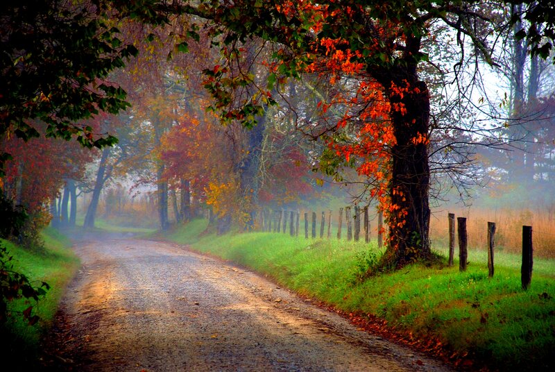 Gravel Road in Autumn — Green