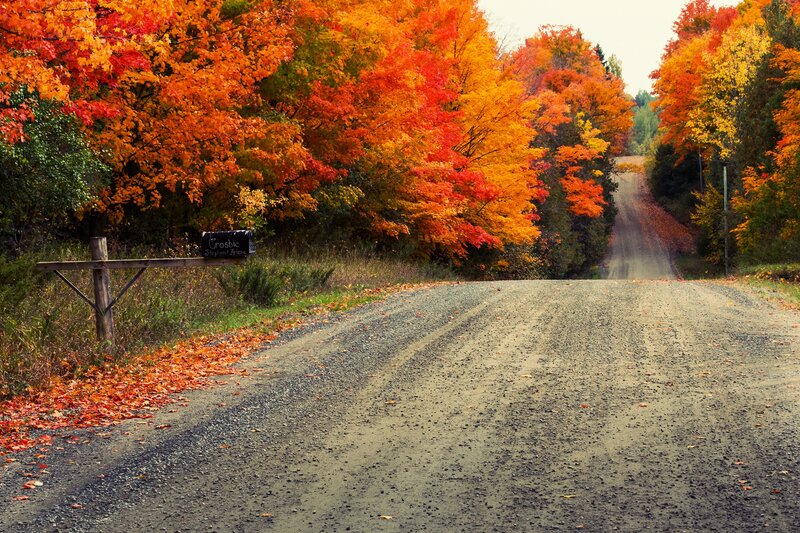 Gravel Road in Autumn — Orange, Serene, Photograph